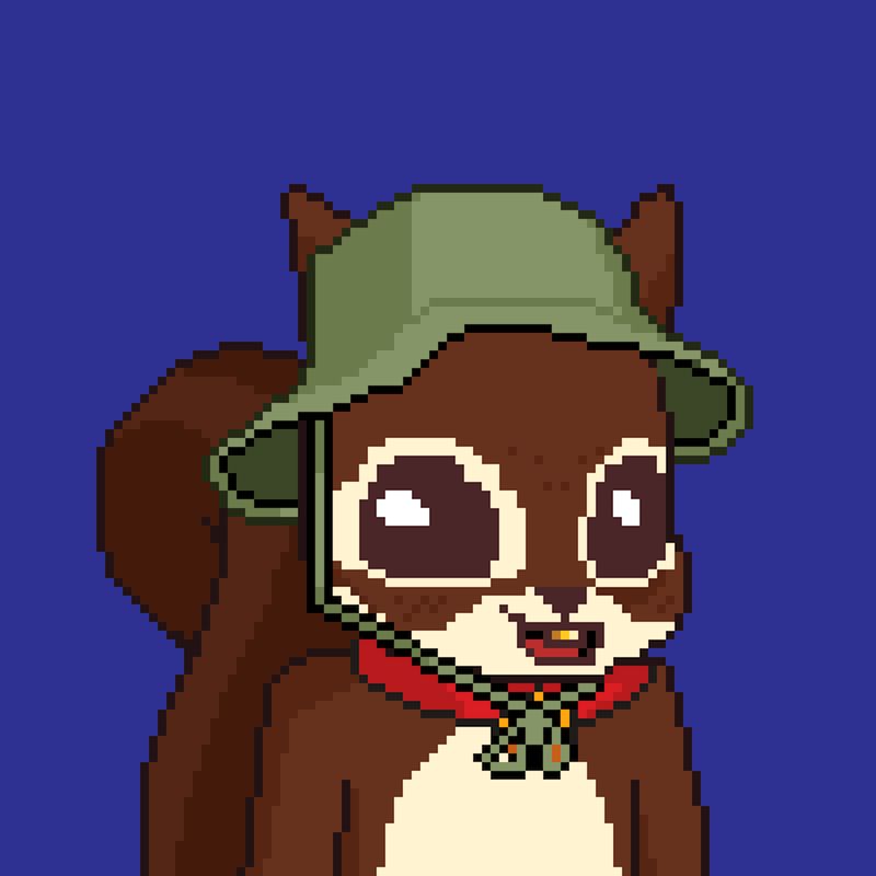 Pixel Squirrels #2375